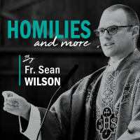 Homilies&More